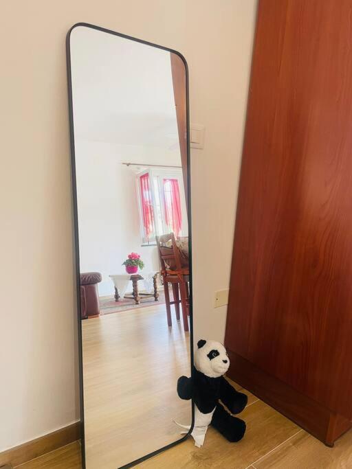 Giorgio'S Apartment Pisa Fiocina エクステリア 写真